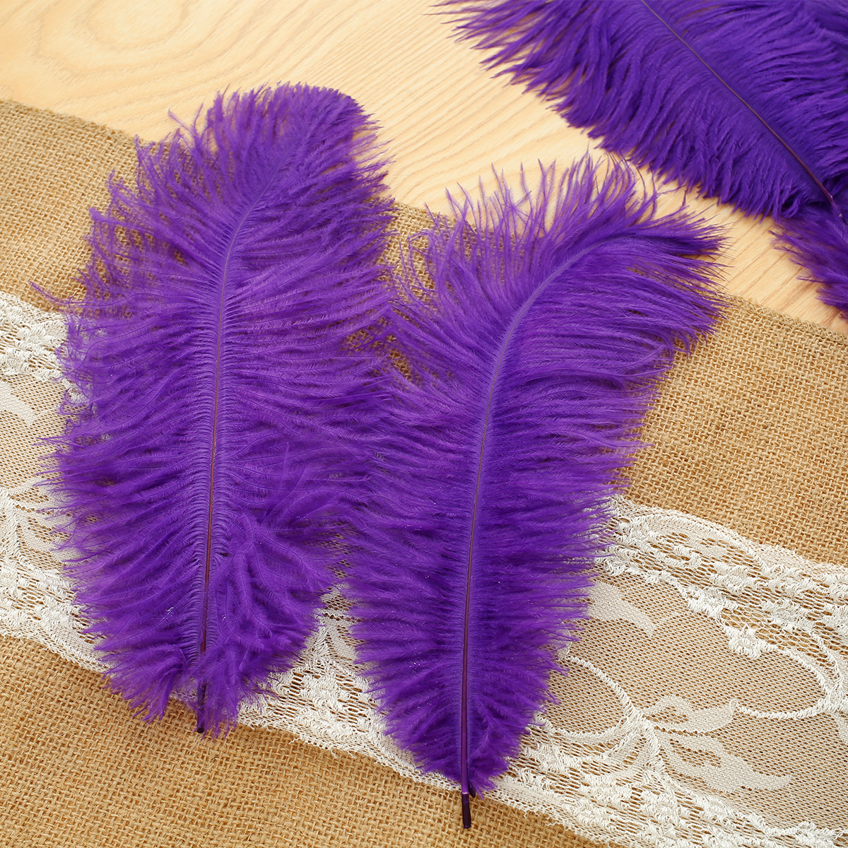 Pluokvzr 10Pcs Ostrich Feather Multi-Color Ostrich Feather Plume Decorative  Pink Gold Purple Feather Craft Fashion DIY Large Feat 